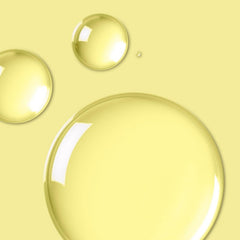 202500000666