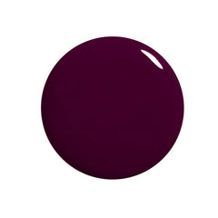 96200206519