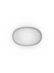 Smart Speaker 500