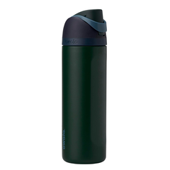FreeSip Insulated Stainless Steel Water Bottle with Straw - 24 Oz