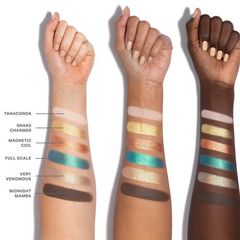 ChromaPlus 6-Pan Eyeshadow Palette