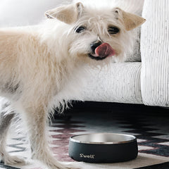 Pet Bowl