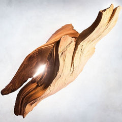 BVL-GARI-38