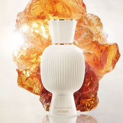 BVL-GARI-44